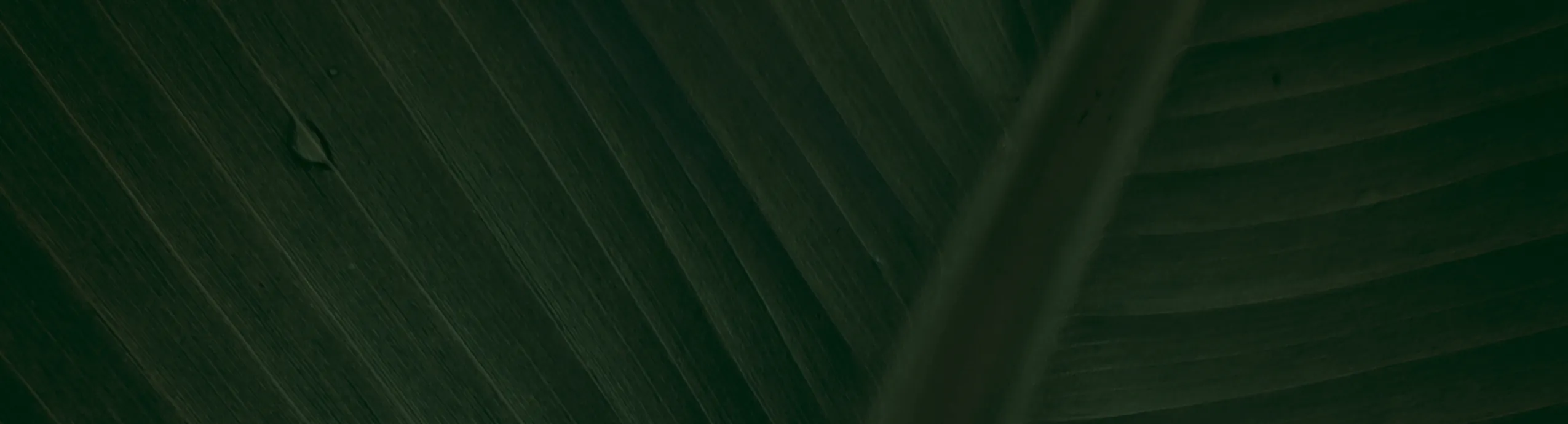 hero-image_optimized 30PCS Reusable Snack Pack Containers 2 Compartments Snack Pots With Lids Double Compartment Snack Pot