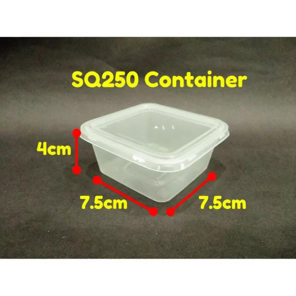 sg-11134253-81zvq-mir6ypjk5vraaa.webp Square Plastic Disposable Food Container 50pcs
